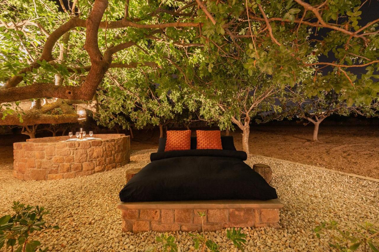 Pistachios Aegina